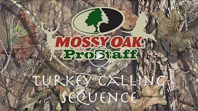 Turkey Calling Sequence